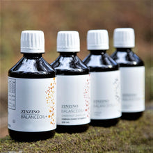 Load image into Gallery viewer, BalanceOil+, Omega 3 DHA EPA with effective polyphenols, Vit. D3 & TEST